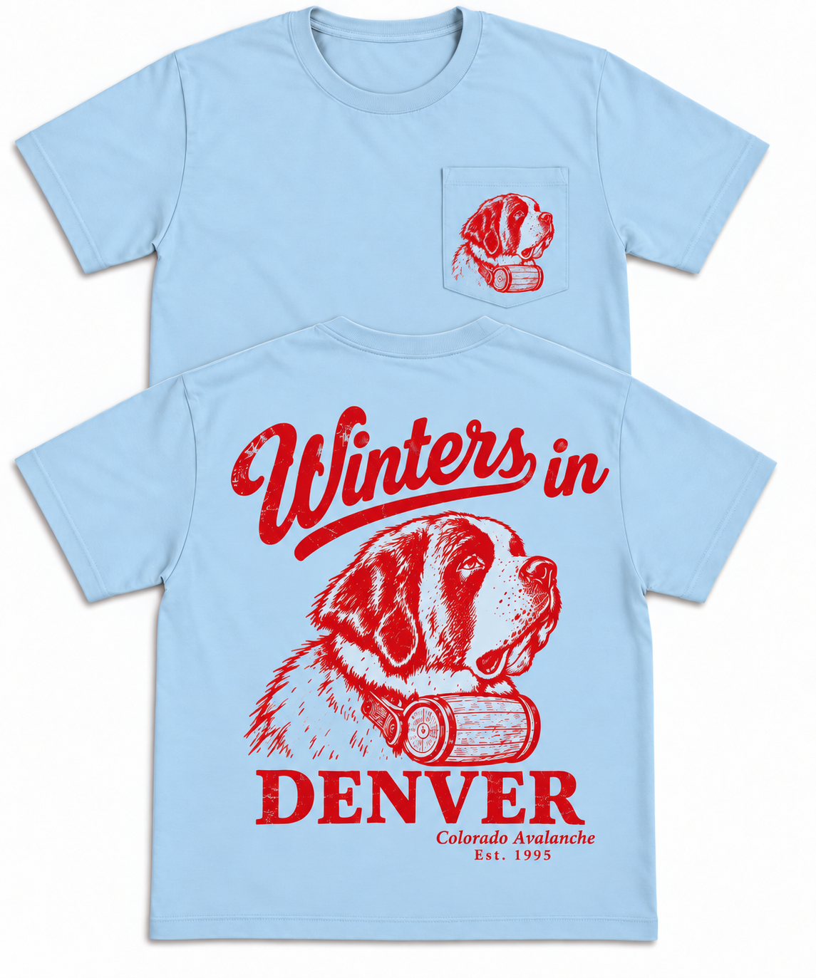 Winters in Denver St. Bernard
