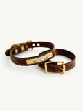 Leather Dog Collar